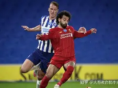 开元棋牌电脑版-莱红牛对海登海姆