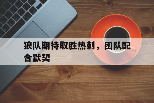 狼队vs热刺 视频直播